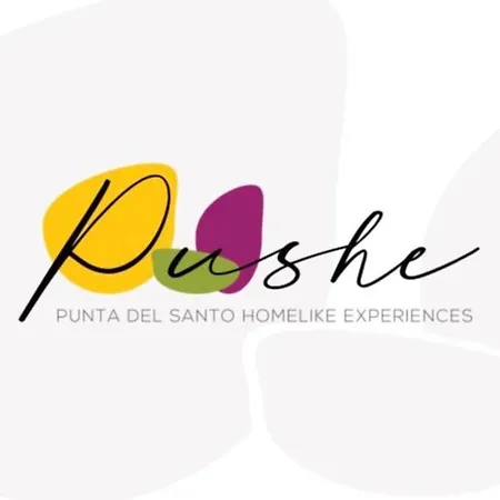 Pushe & Tradition